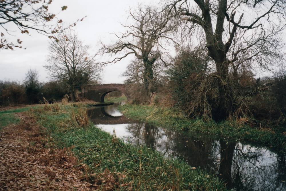 pic8